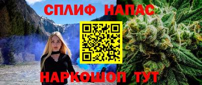 мдпв Пугачёв