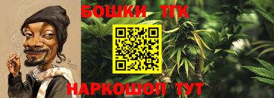 мдпв Пугачёв