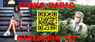мдпв Пугачёв
