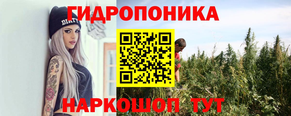 Канабис сатива  Каннабис SATIVA & INDICA  Шишки марихуана VHQ  Бошки Шишки LSD WEED  Вход с VPN  Октябрьский 